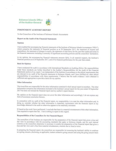 Audit Opinion 2017